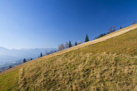 山景