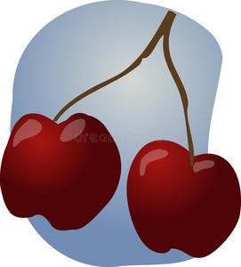 樱桃水果插图