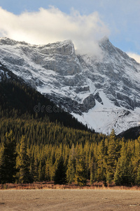 雪山和森林