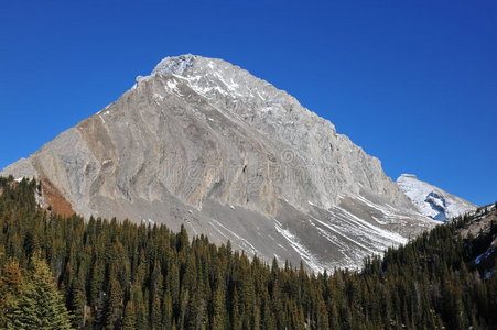 雪山与森林