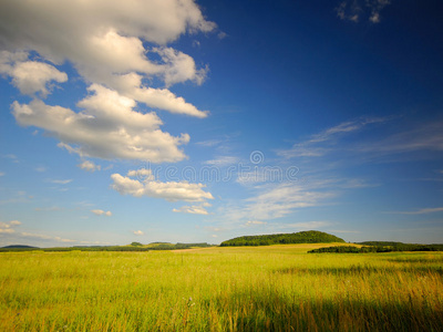 美丽的风景