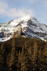 雪山和森林