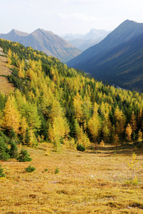 高山峡谷