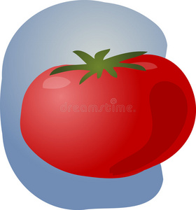 番茄插图