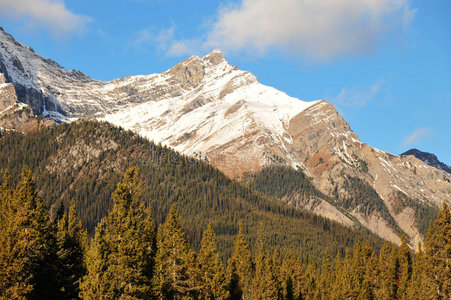 雪山和森林