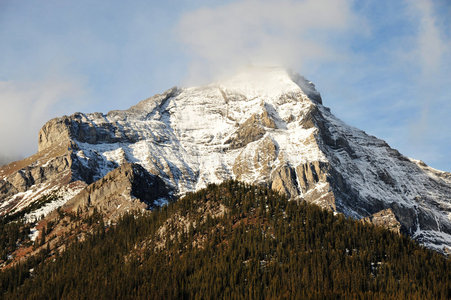 雪山与森林