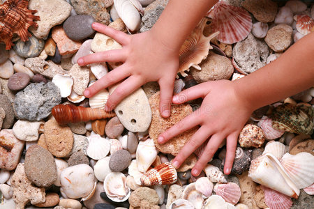 手放在贝壳和石头上