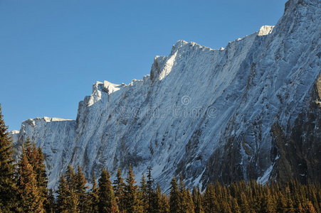 雪山与森林