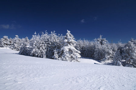 雪