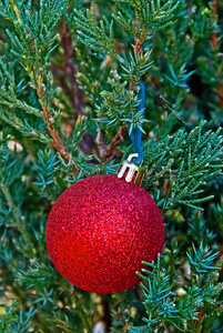 树上的红色圣诞装饰