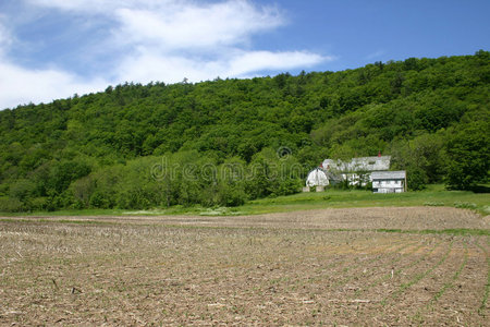 废弃农场