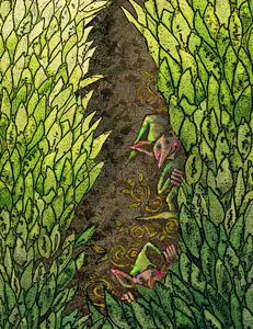 植物精灵精灵的叶子照片