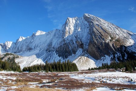 雪山和草地