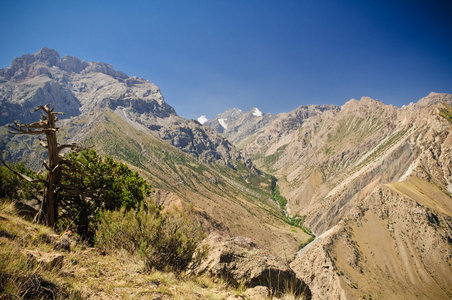 塔米根山谷