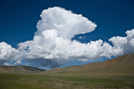 中亚蒙古草原