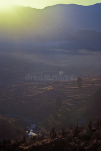 colca valey印加露台秃鹰之家