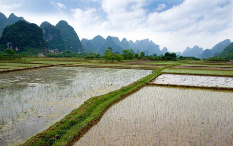 阳朔附近的乡村景观