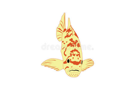 黄色热带鱼