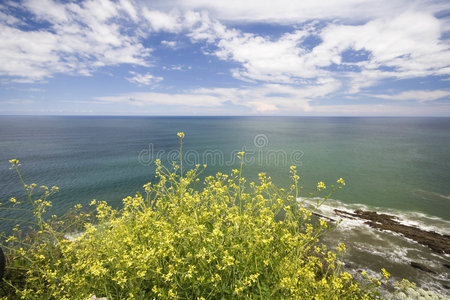 美丽的风景