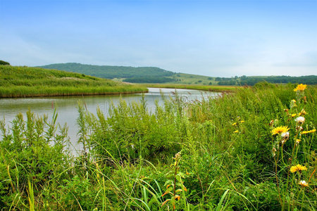 夏季景观