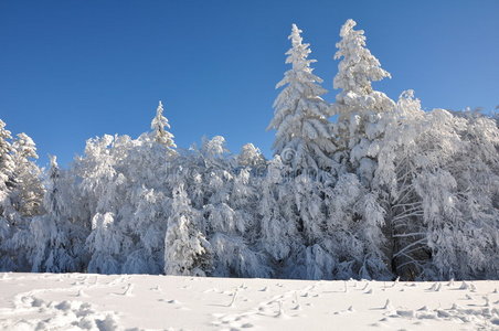 山上的雪