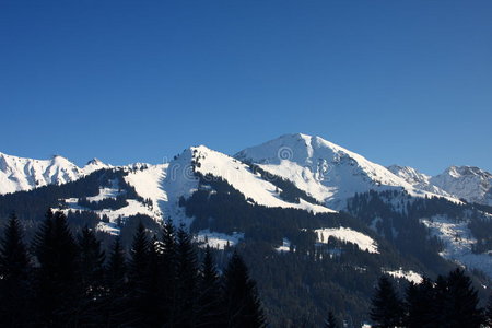 阿尔卑斯山