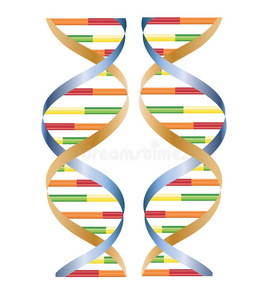 dna