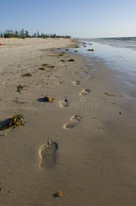 信号海滩上的脚印