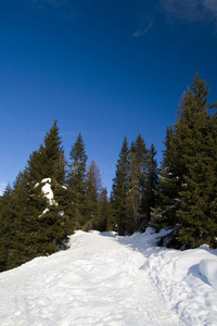 意大利山地雪景图片