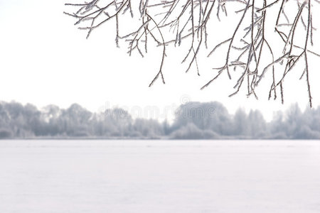 冬季雪景