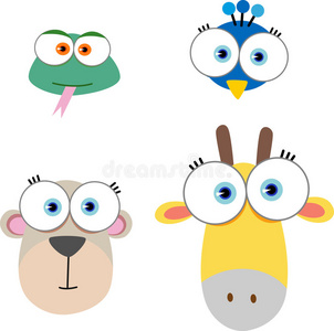 大眼睛动物脸照片