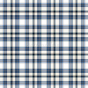 几何三女青年白衬衫,白帽子,蓝底蓝白格子布上的白板红,白,蓝明胶