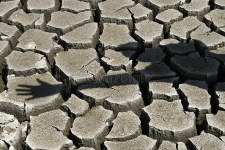 农业 灰尘 刹车 排水 自然 地质学 特写镜头 贫瘠 气候
