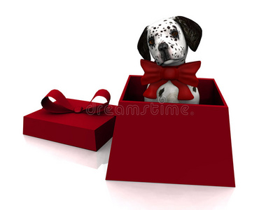 礼品盒中的小狗图片