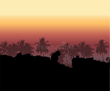 热带日落，棕榈树剪影