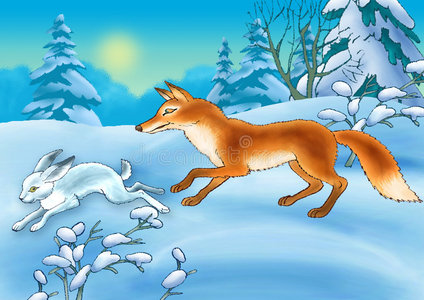 追击狐狸和兔子照片