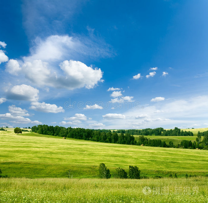 夏季景观