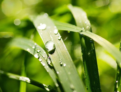 雨滴