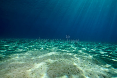 海洋和太阳