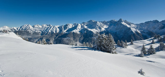 阿尔卑斯山的雪