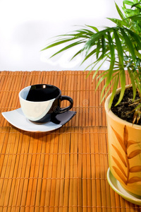 一杯咖啡和盆栽植物