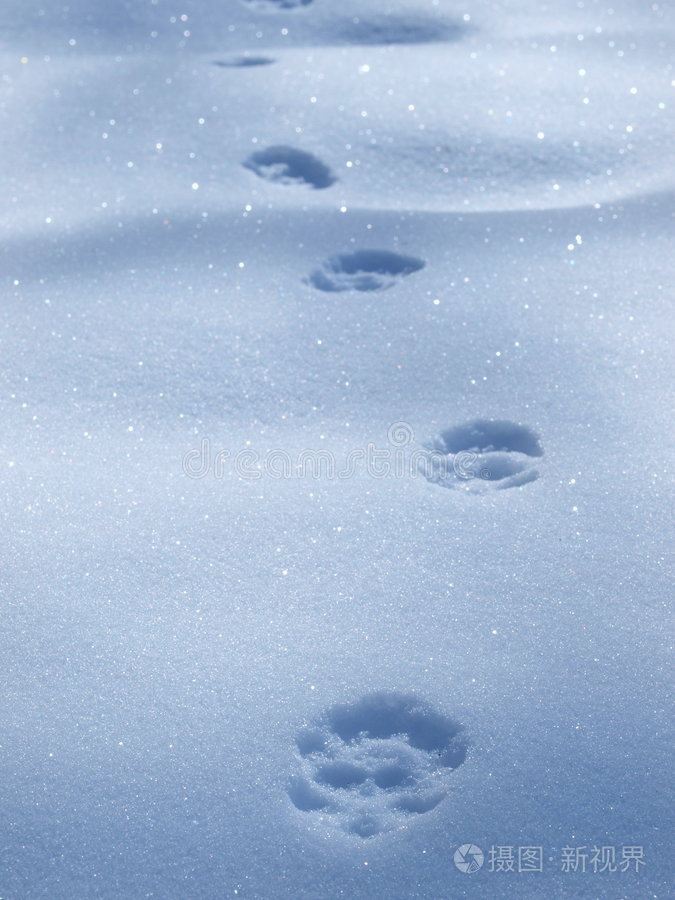 动物足迹,走向森林雪中的脚印带冰柱的蓝色路标-空白和复制空间兔子的
