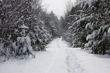 积雪路面