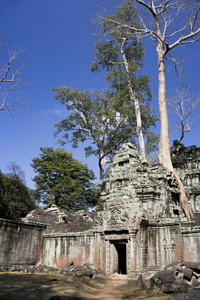 ta prohm，柬埔寨