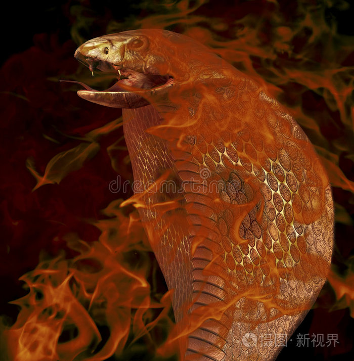 眼镜蛇