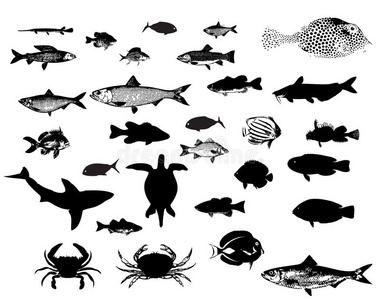 海洋动物剪影套装