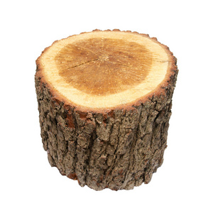 沼泽木桩图片-沼泽木桩素材-沼泽木桩插画-摄图新视界