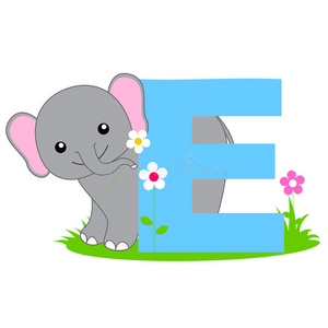 动物字母表e照片