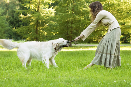 公园里养金毛猎犬的女孩