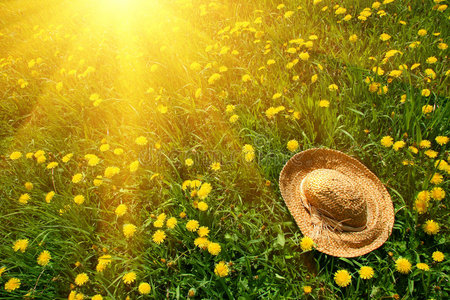 戴草帽的草地上的阳光女朋友跑下山上阳光充足的草地网球与阳光草地